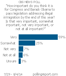 Illegal immigration